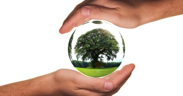 Corporate Social Responsibility