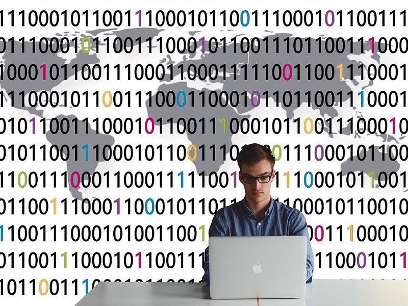 Data scientists: the who, why and how