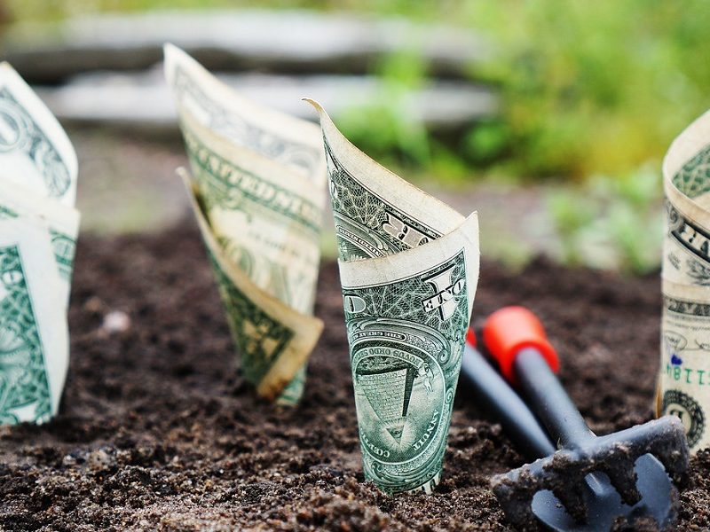The time has never been better to invest for growth