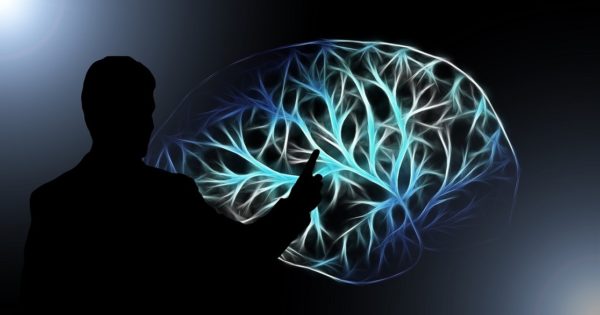intelligence artificielle chimpanzé