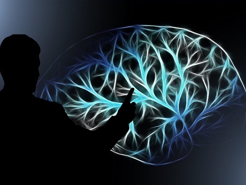 intelligence artificielle chimpanzé