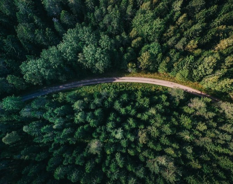 Forestry