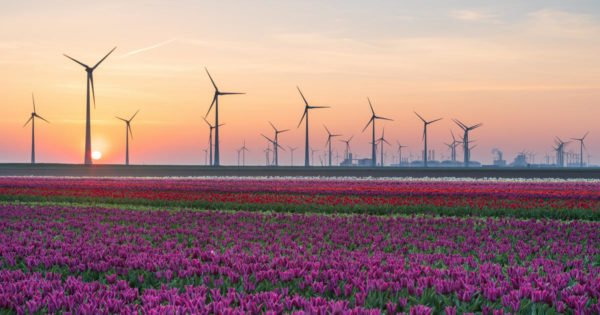 Energy Sector post COVID-19