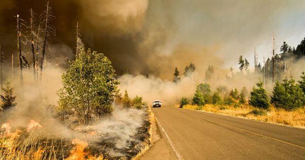 Wildfire Blog