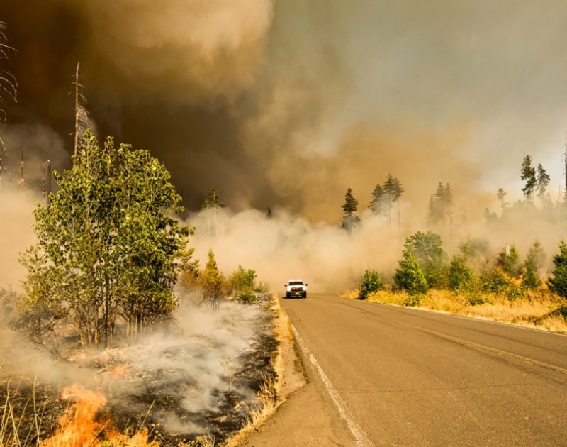 Wildfire Blog