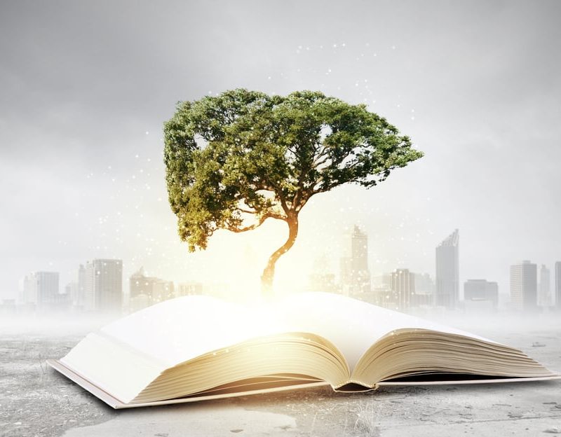 3 Reasons Why Knowledge Management Fails